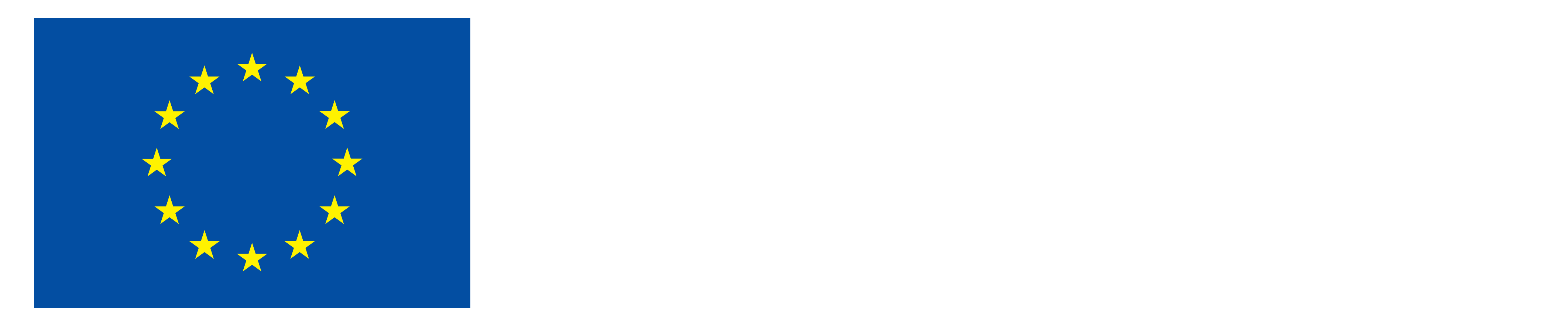 EN Co-Funded by the EU_NEG